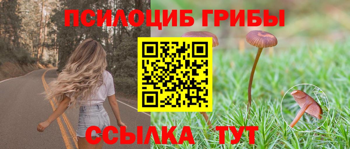 Галлюциногенные грибы Magic Shrooms Дмитров